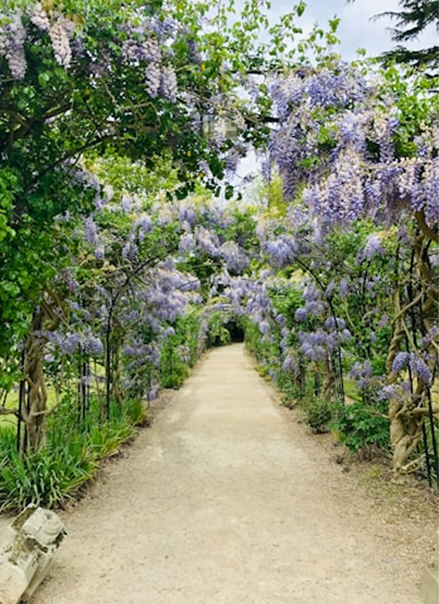 The Mountain Garden